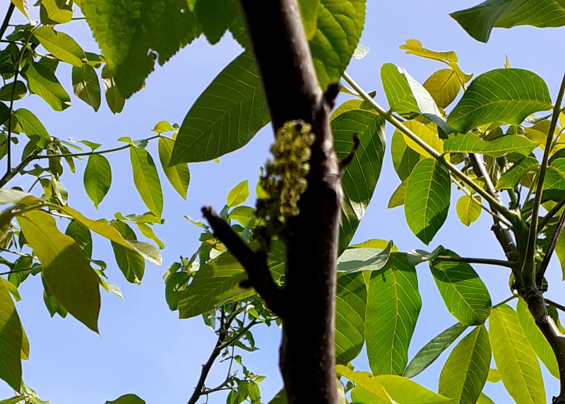 20220611_093915.jpg