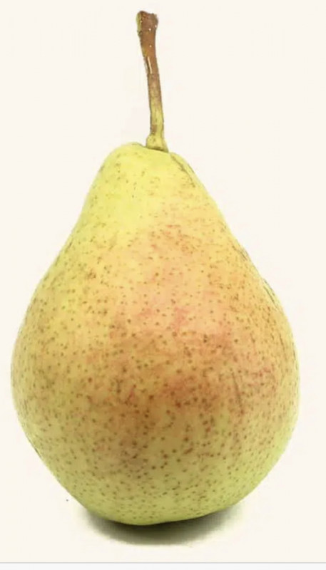 043ABDC4-393E-41E7-8878-7CDE0C9B78A5.jpeg