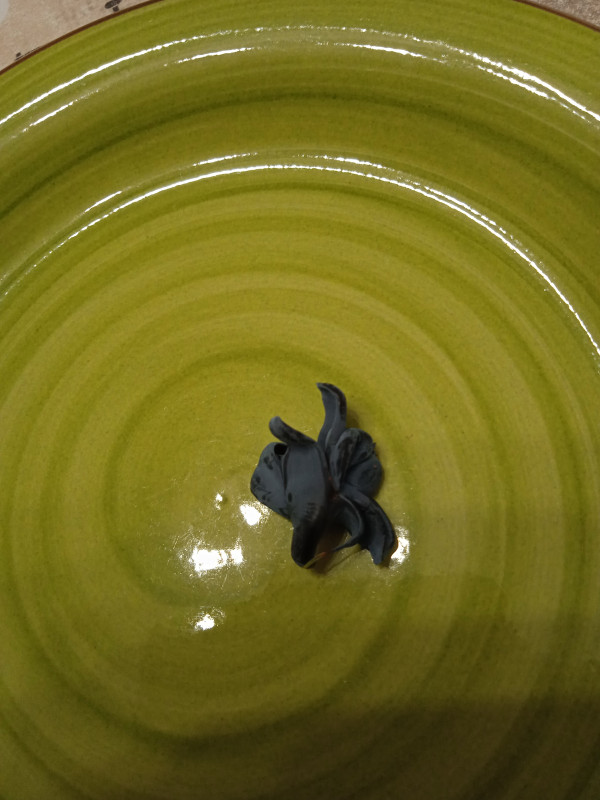 IMG_20220619_140556_1.jpg