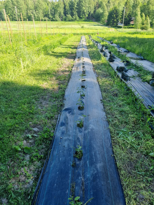 20220619_175850.jpg