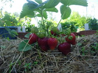 DSCN8639.JPG
