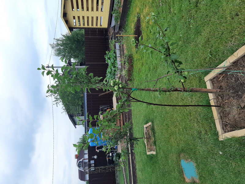 20220707_201304.jpg
