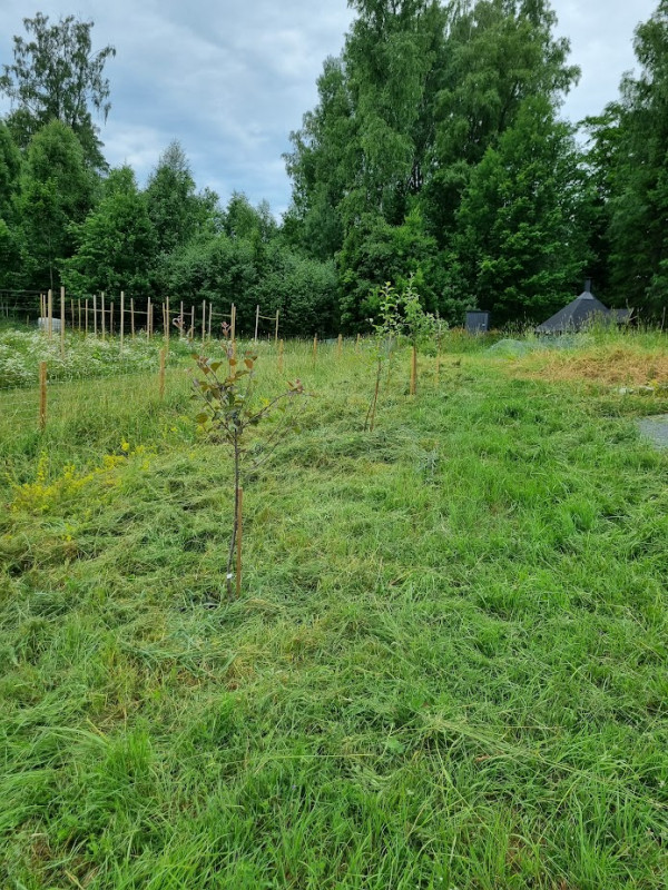 20220712_122146.jpeg