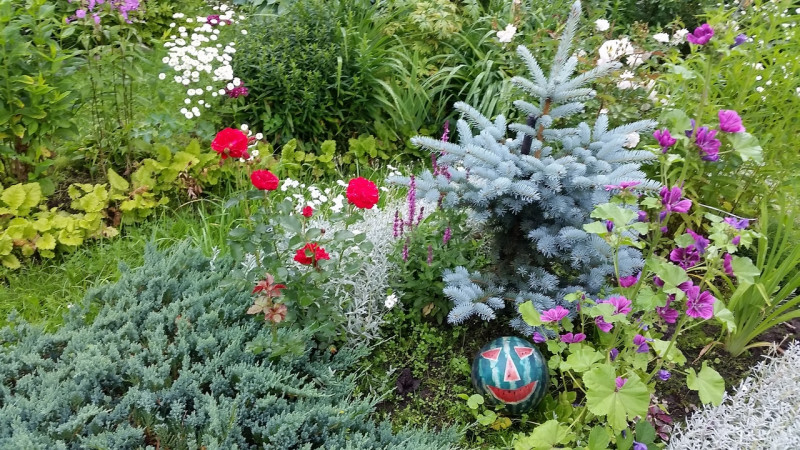 20220710_095853.jpg