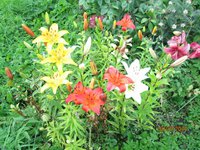 Resize of IMG_0748.JPG