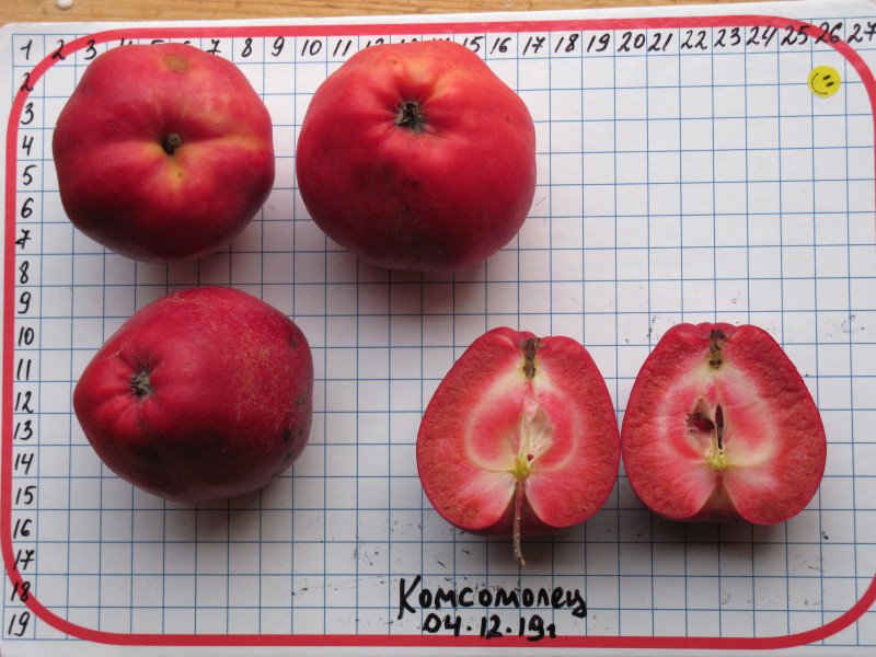 Комсомолец-19-22.JPG