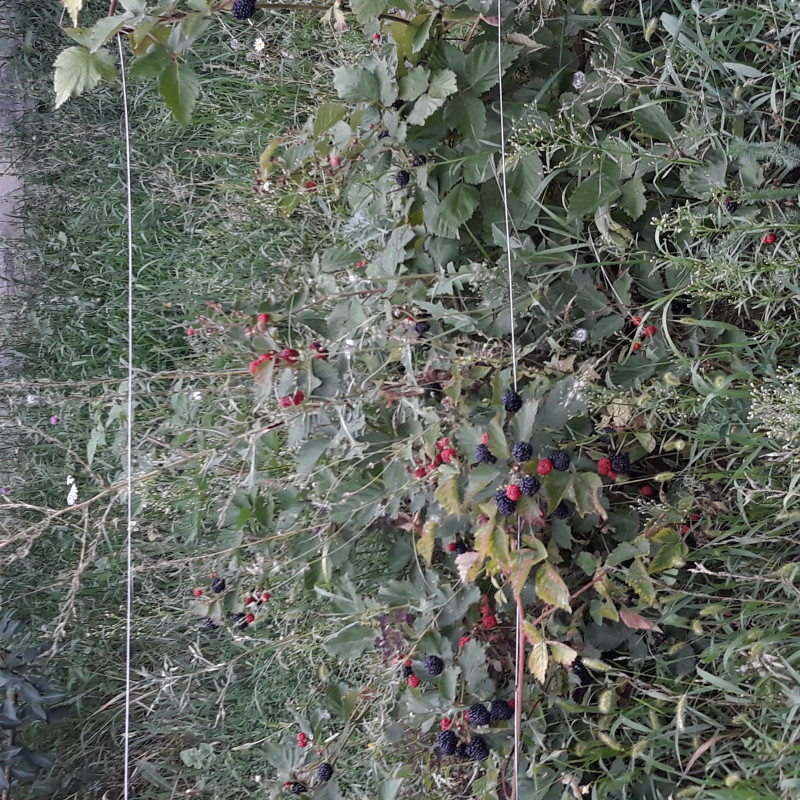 20220813_170834.jpg