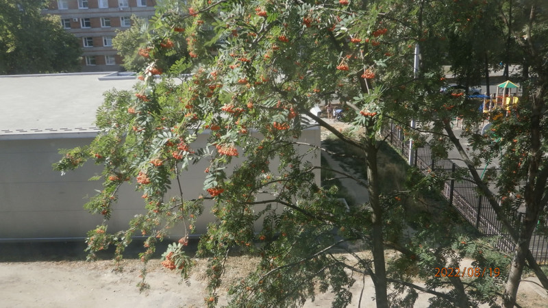 P8196170.JPG