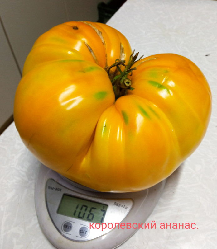 IMG_20220820_200500.jpg