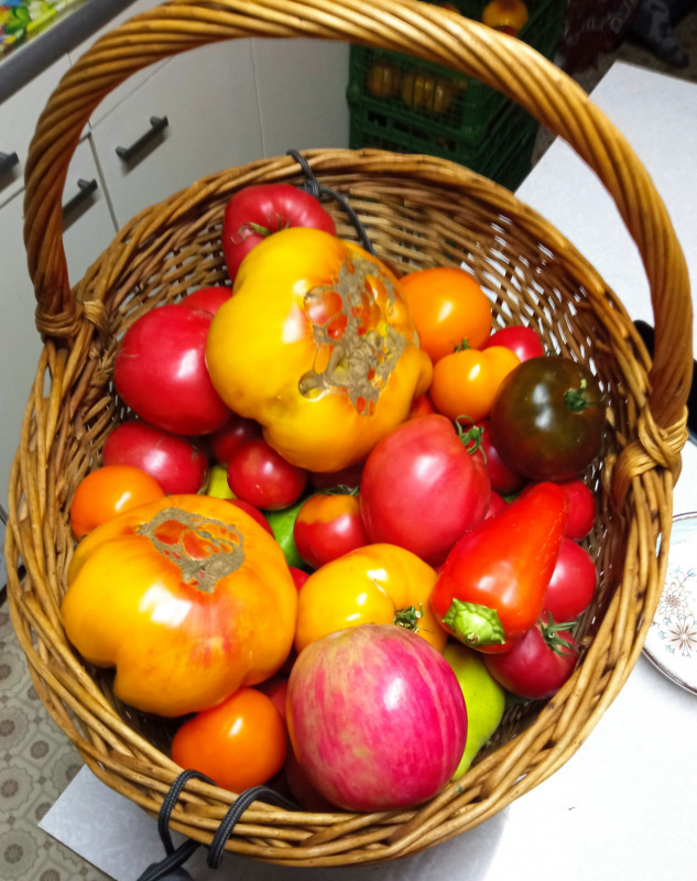 IMG_20220820_201135.jpg