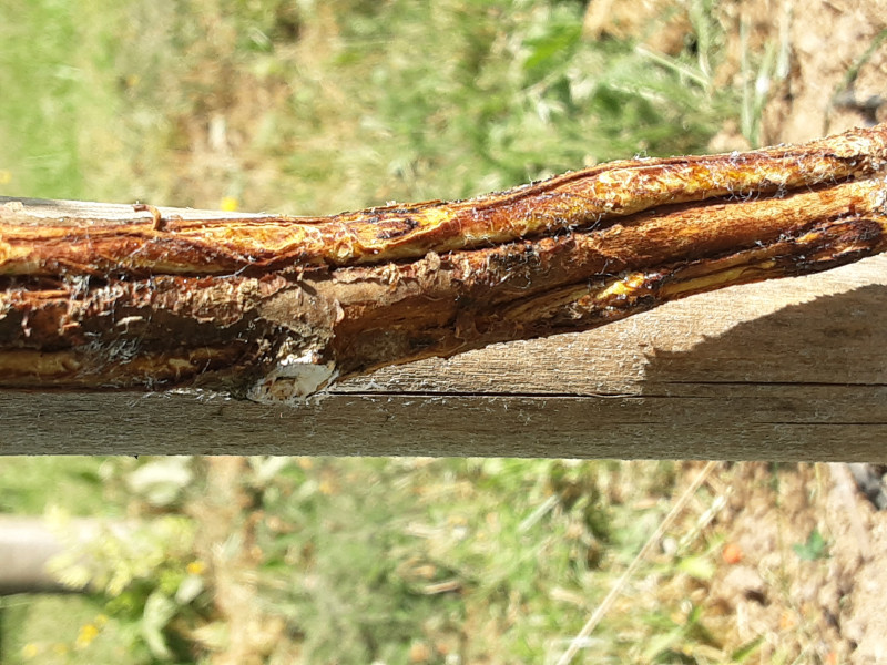 20220821_100110.jpg