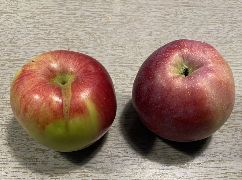 E303E8DC-815E-427D-AE16-12E3F31FF903.jpeg