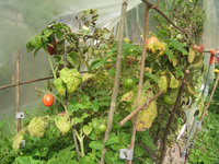 IMG_8863.jpg