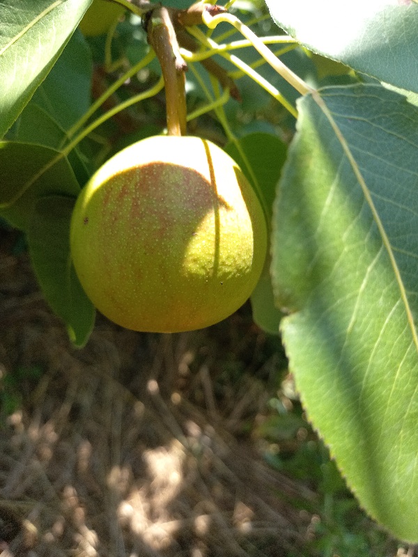 20220825_121152.jpg
