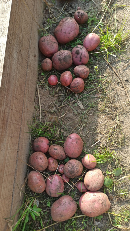 IMG-20220826-WA0058.jpeg