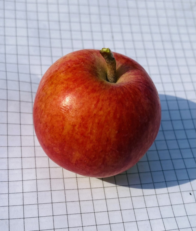 9C5939E4-AE95-490B-88C4-BBF5AB3A5D1F.jpeg