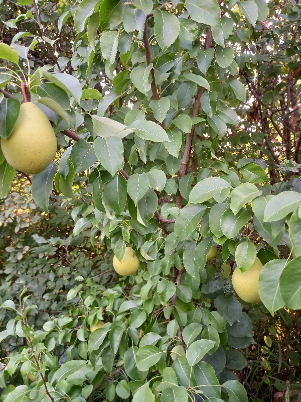 20220829_101549.jpg