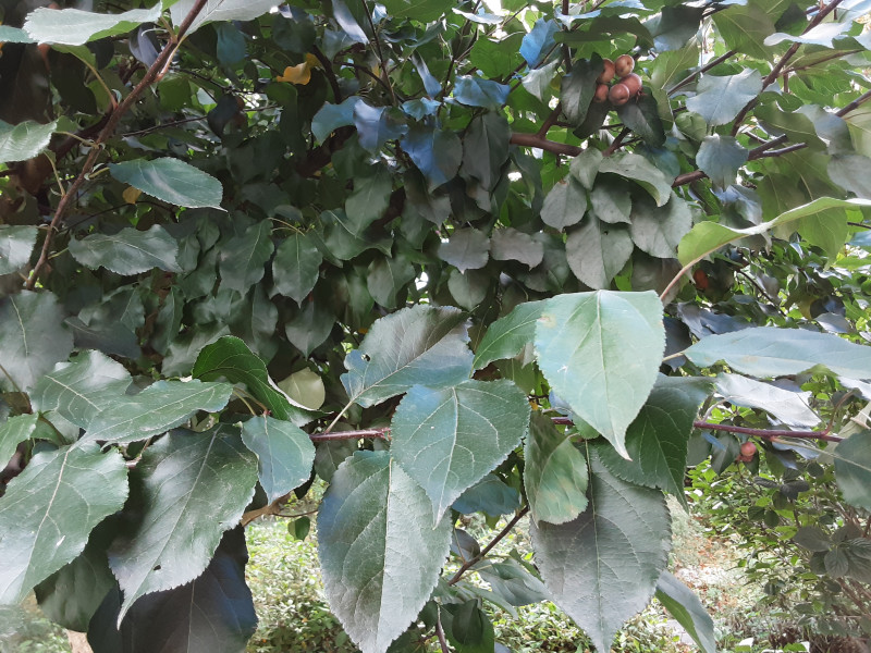 20220904_123152.jpg