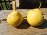 Праздничная.JPG