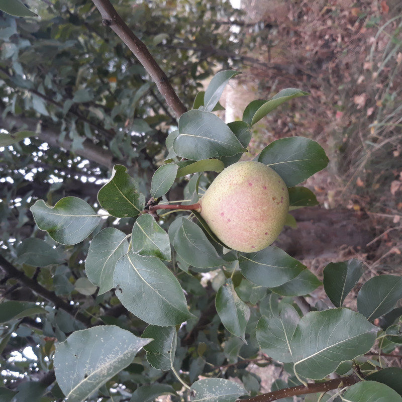 20220911_153315.jpg