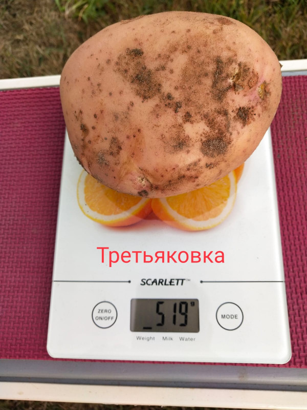 Третьяковка.jpg