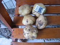 IMG_5998.jpg