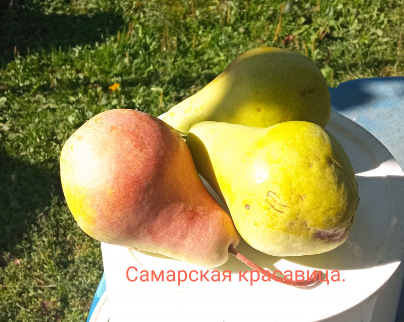 IMG_20220917_104449.jpg