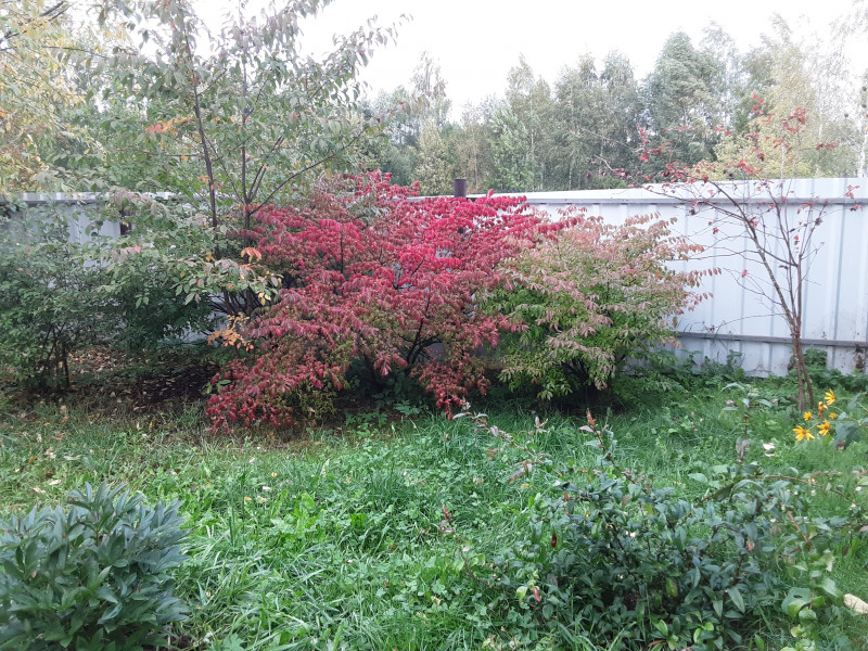 20220919_074740.jpg