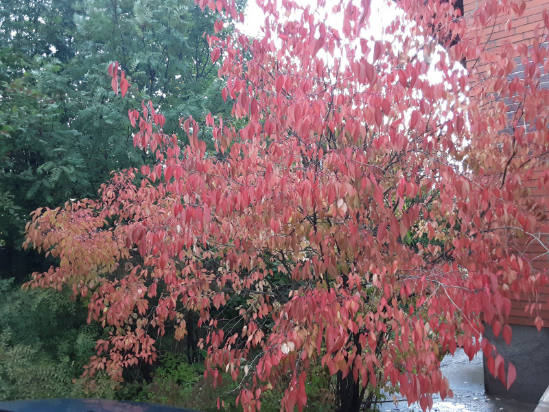 20220919_075634.jpg