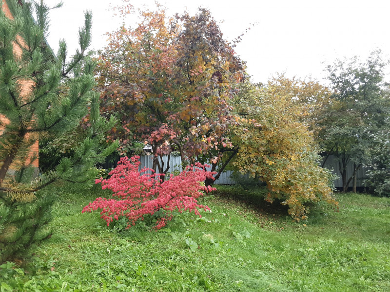 20220919_075217.jpg
