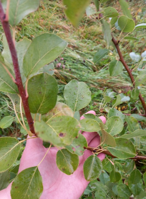 20220920_084907.jpg