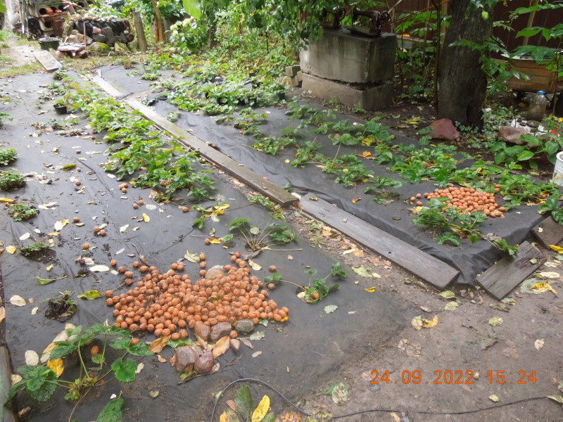 DSCN9293.JPG