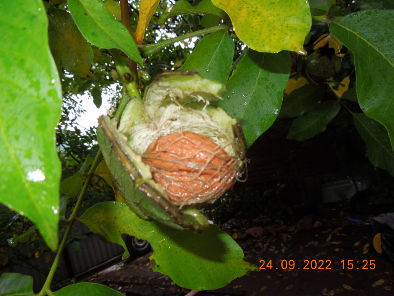 DSCN9296.JPG