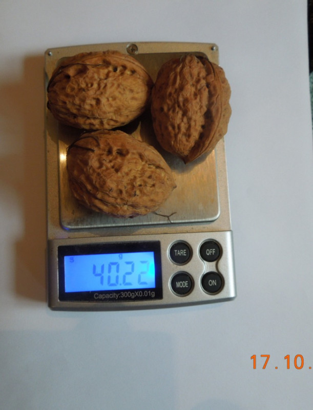 DSCN6255.JPG