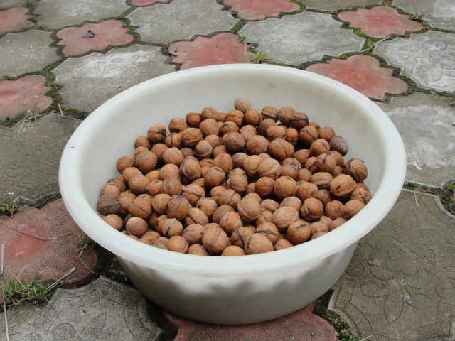 DSC07512.JPG