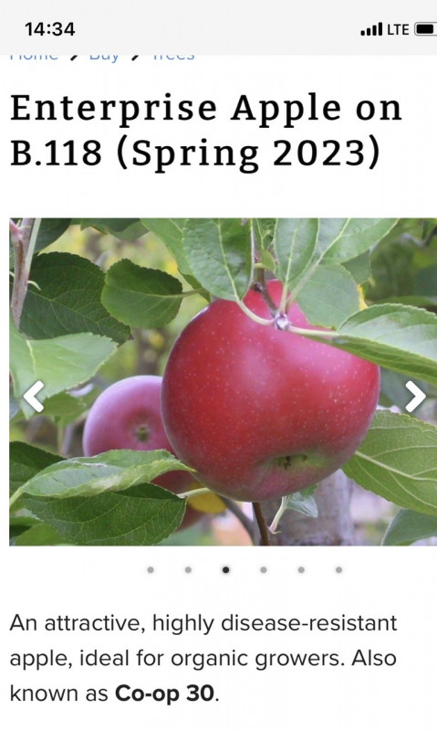 10A451B7-FDA7-4B58-A409-EBC5FDAB96D0.jpeg