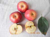DSCN5158.JPG
