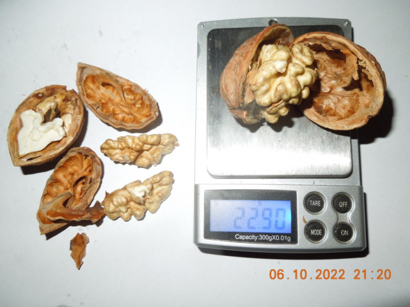 DSCN9313.JPG