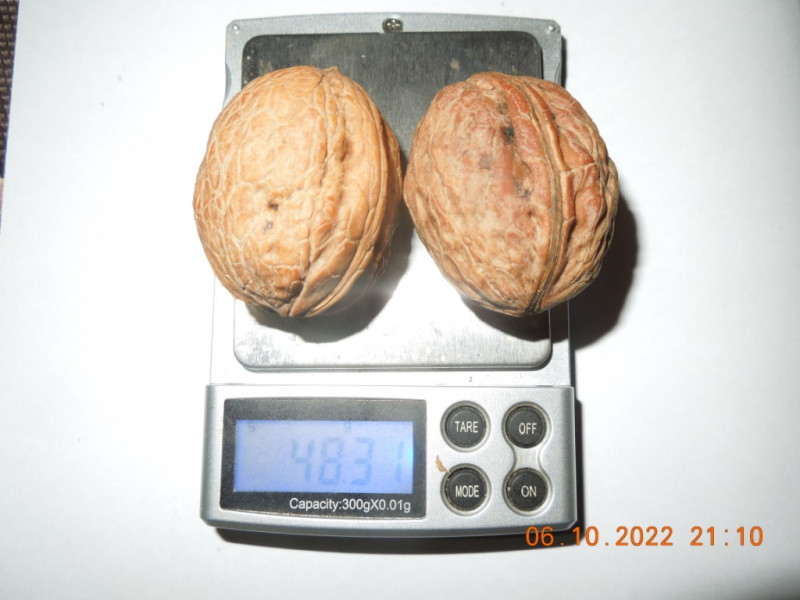 DSCN9312.JPG