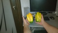 WP_20140806_005.jpg