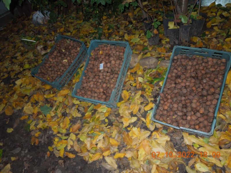 DSCN9315.JPG