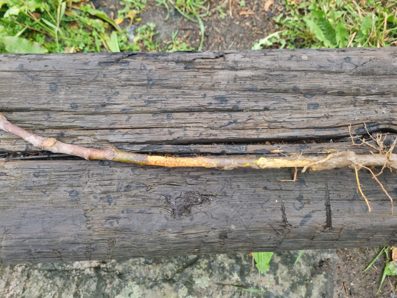 20221015_144641.jpg