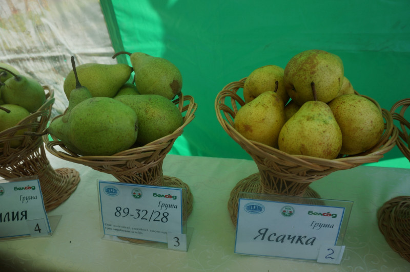 IMG-d3f0adedf827c37c66918f7f52902186-V.jpg
