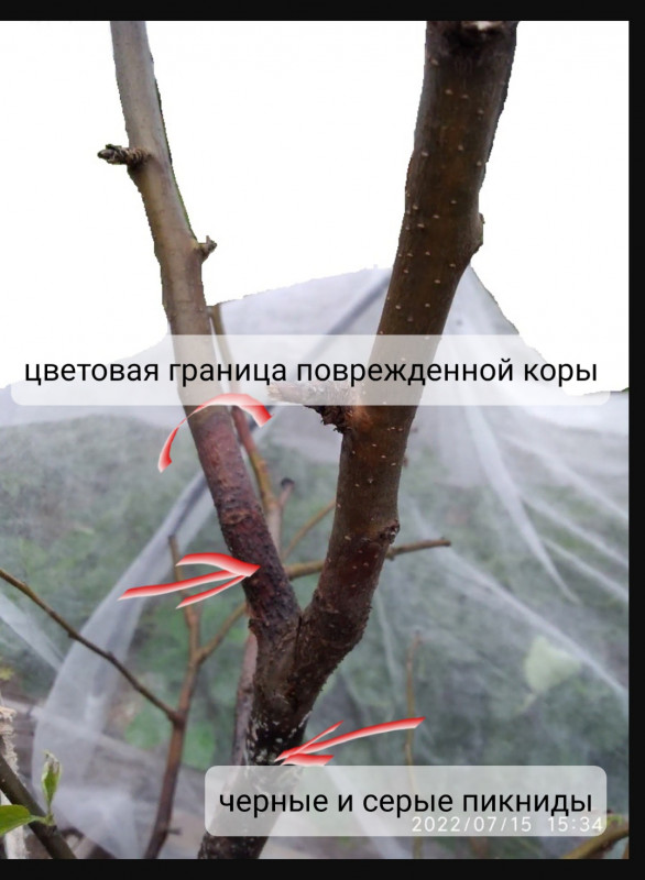 Screenshot_20221025-105551_Browser.jpg