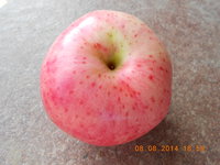 DSCN4714.JPG