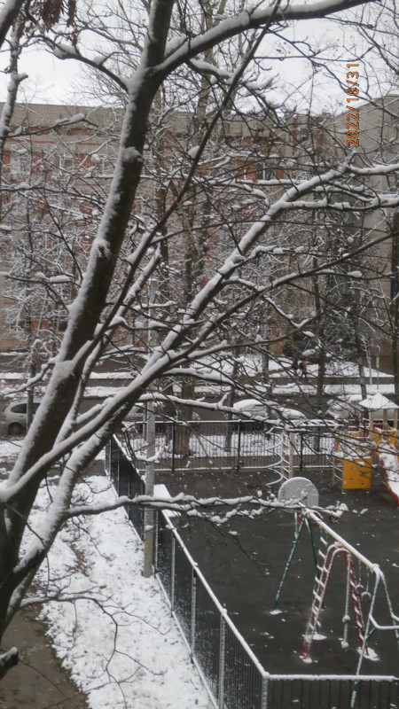 PA316282.JPG
