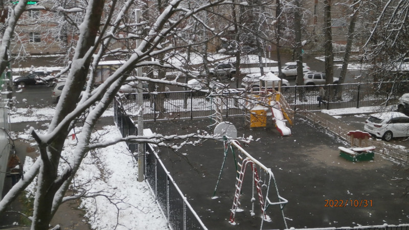 PA316283.JPG