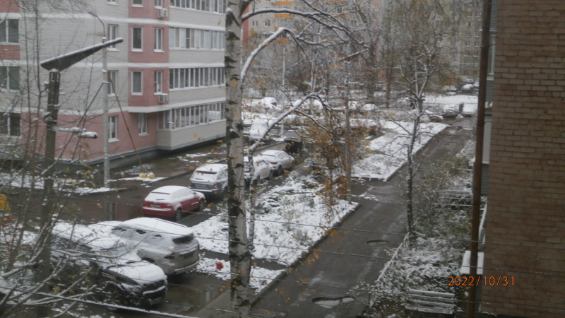 PA316286.JPG