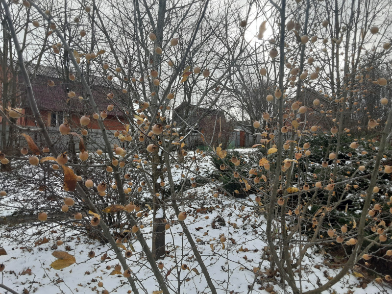 20221031_124729.jpg