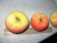 IMG_3562.JPG